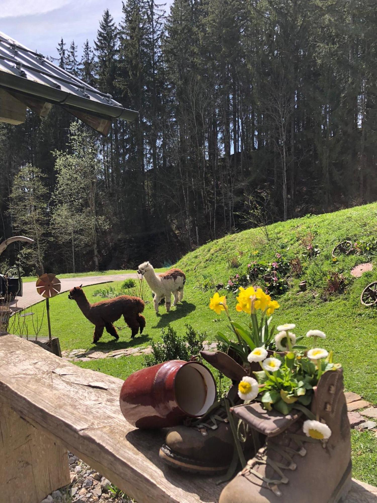 Holiday home Alpensportchalet